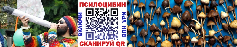 Купить закладки  Верхний Уфалей  Галлюциногенные грибы MAGIC MUSHROOMS 